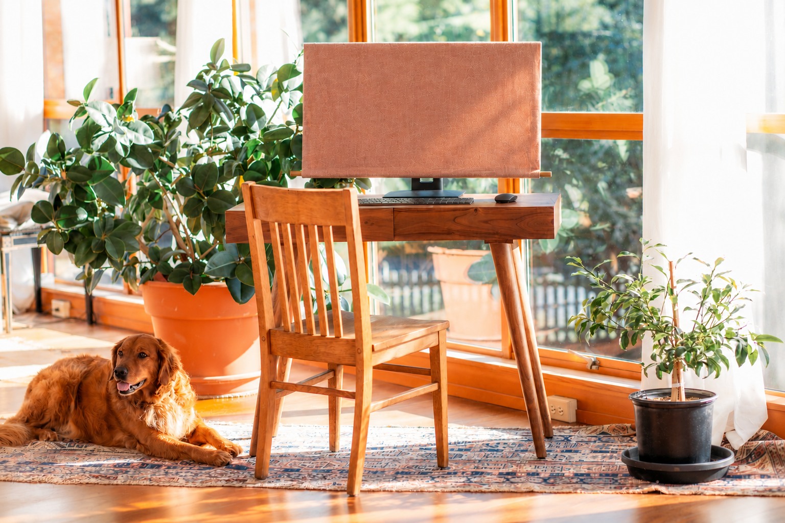 Edited concept photograph of the current Lona cover with a slim wooden dowel in a sunny home office with a dog